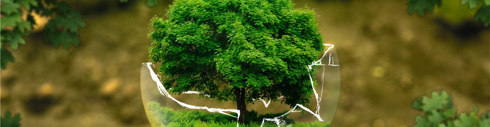 Consultoria Ambiental